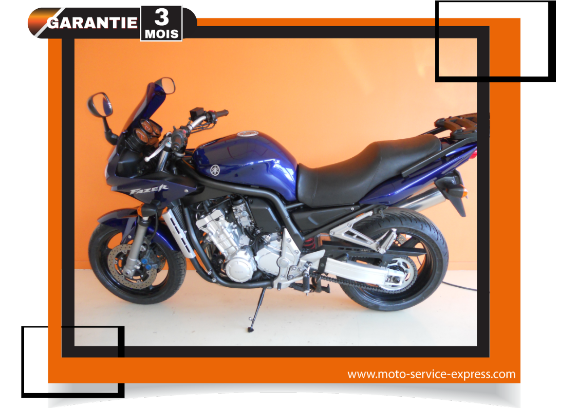FAZER 1000