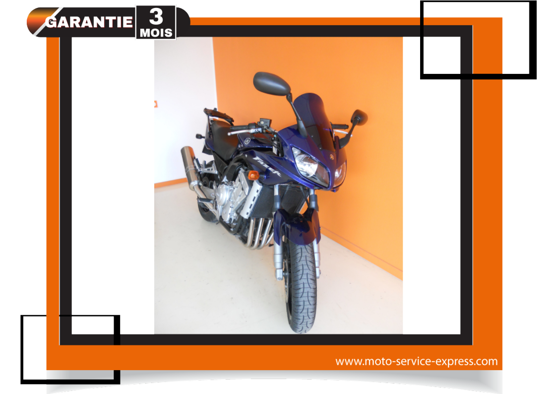 FAZER 1000