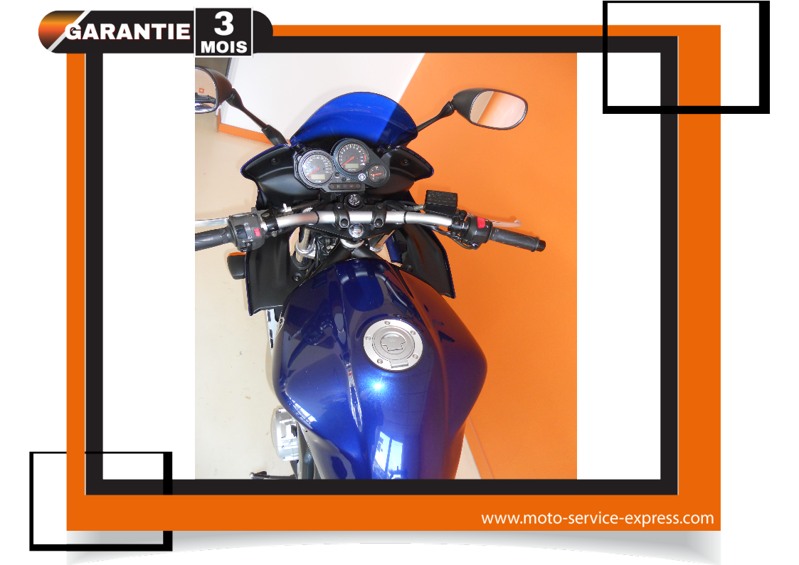 FAZER 1000
