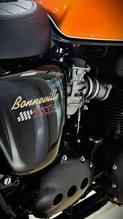 TRIUMPH BONNEVILLE T100 Mecatwin - 2010 - 25 201 KMS 